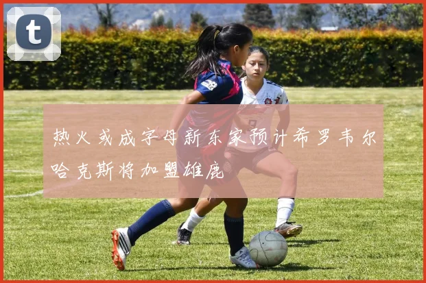 热火或成字母新东家预计希罗韦尔哈克斯将加盟雄鹿