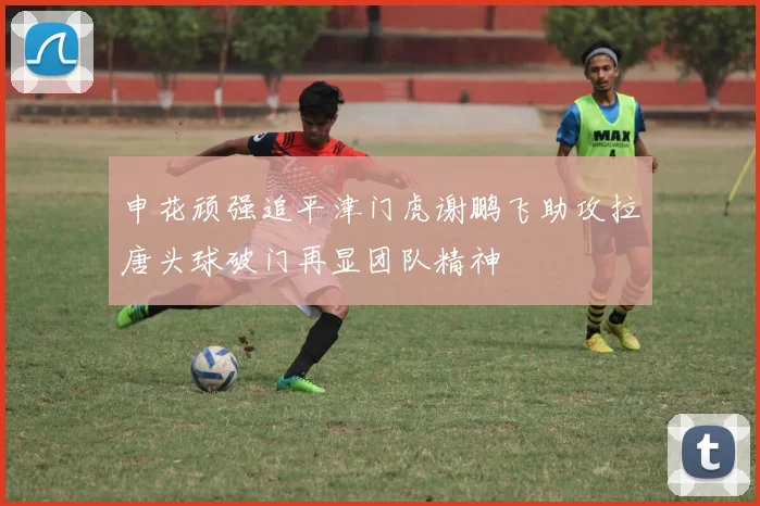 申花顽强追平津门虎谢鹏飞助攻拉唐头球破门再显团队精神