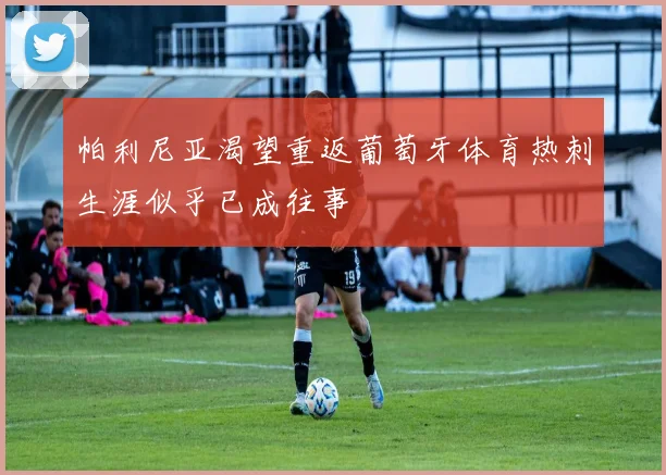 帕利尼亚渴望重返葡萄牙体育热刺生涯似乎已成往事